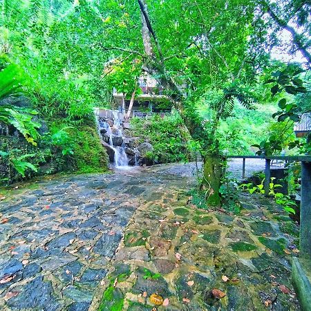 Forest Shade Eco Resort Deraniyagala Zewnętrze zdjęcie
