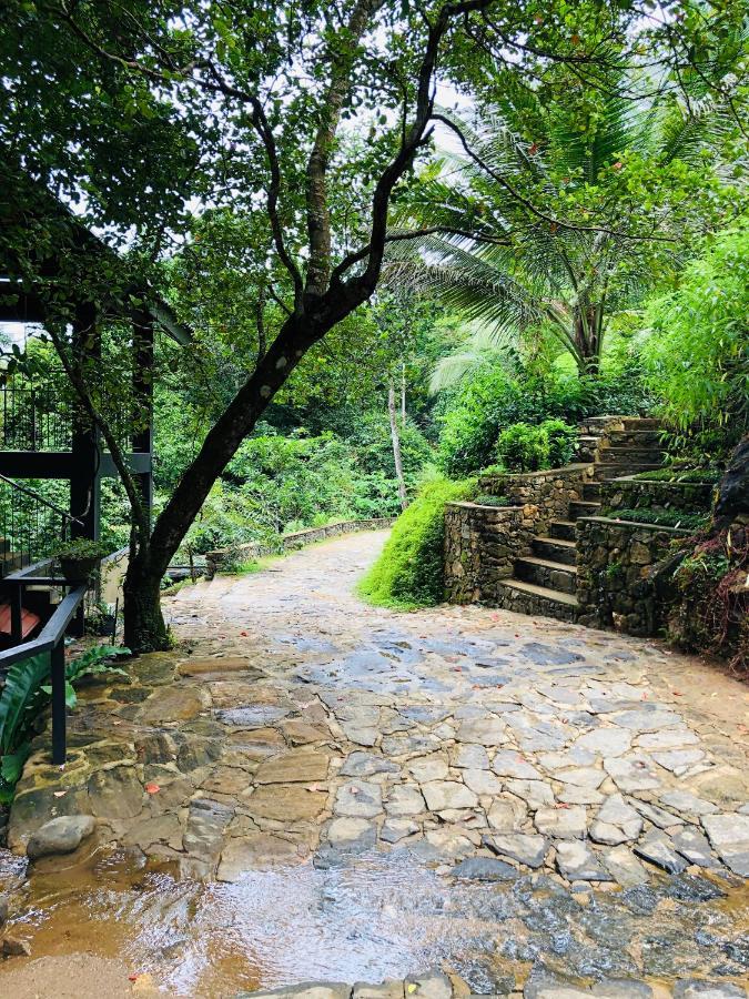 Forest Shade Eco Resort Deraniyagala Zewnętrze zdjęcie