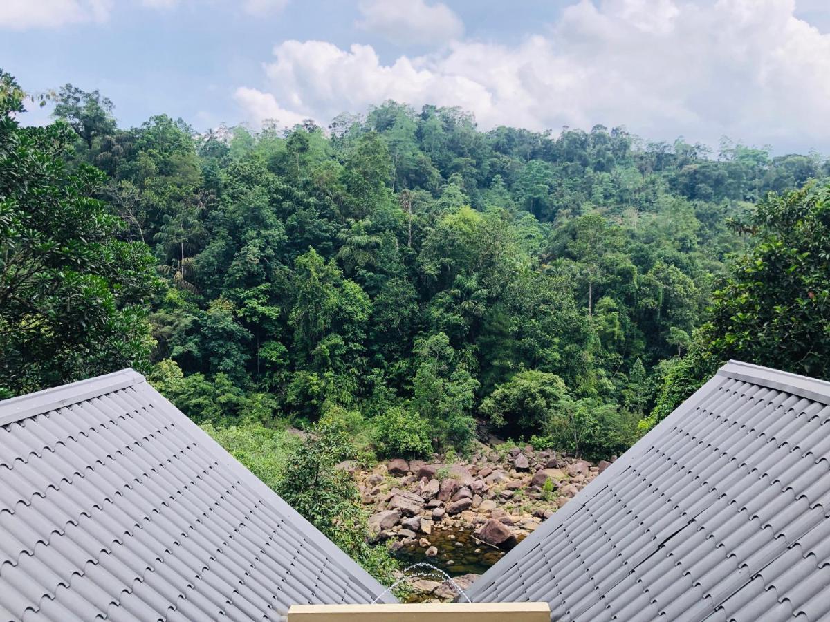 Forest Shade Eco Resort Deraniyagala Zewnętrze zdjęcie