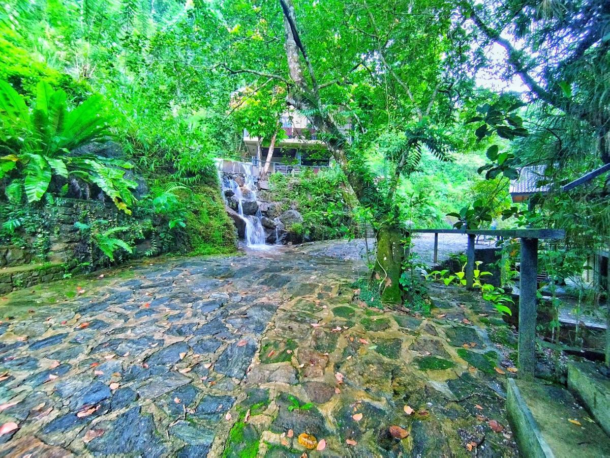 Forest Shade Eco Resort Deraniyagala Zewnętrze zdjęcie